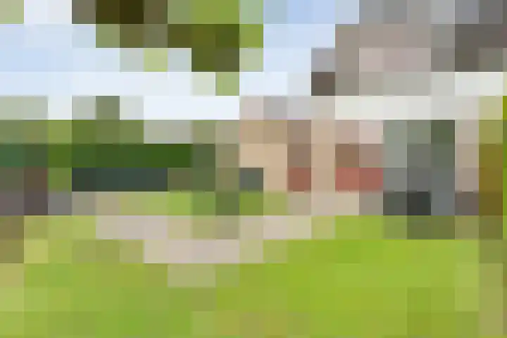 Van der Grondenmarke 35 Zwolle thumbnail 40