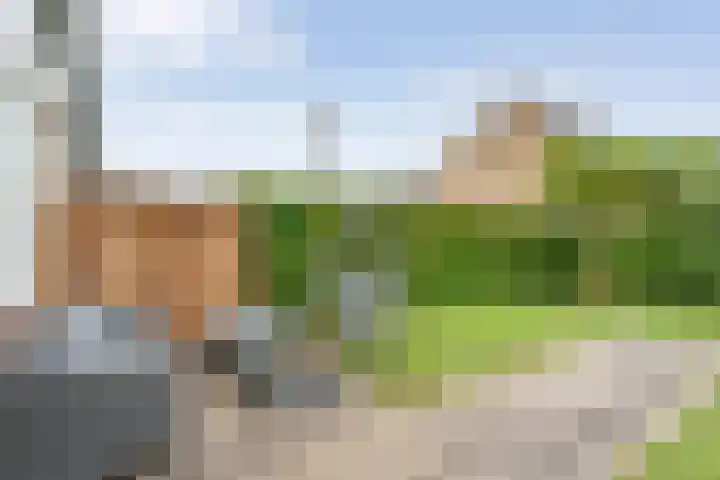 Van der Grondenmarke 35 Zwolle thumbnail 41