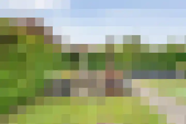 Van der Grondenmarke 35 Zwolle thumbnail 42