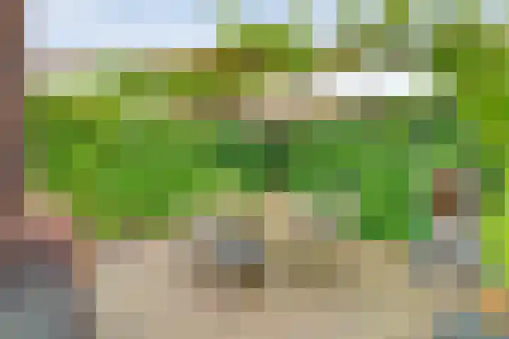 Van der Grondenmarke 35 Zwolle thumbnail 43