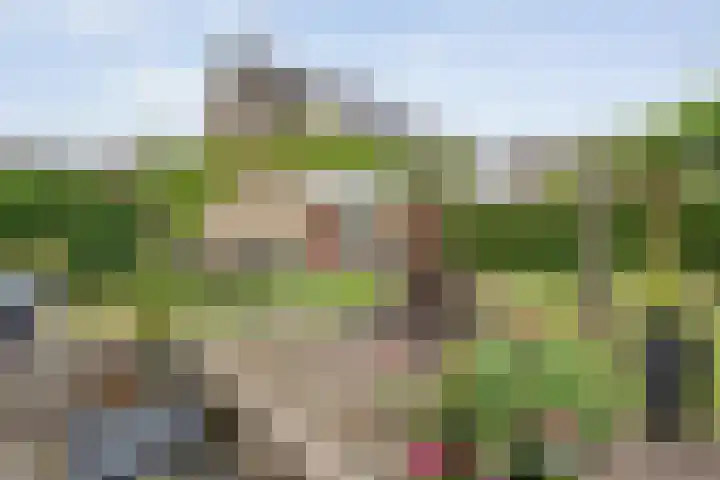 Van der Grondenmarke 35 Zwolle thumbnail 44