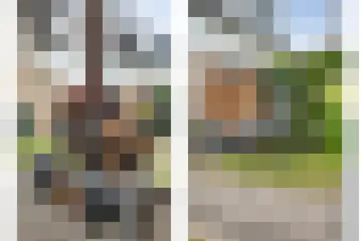 Van der Grondenmarke 35 Zwolle thumbnail 45