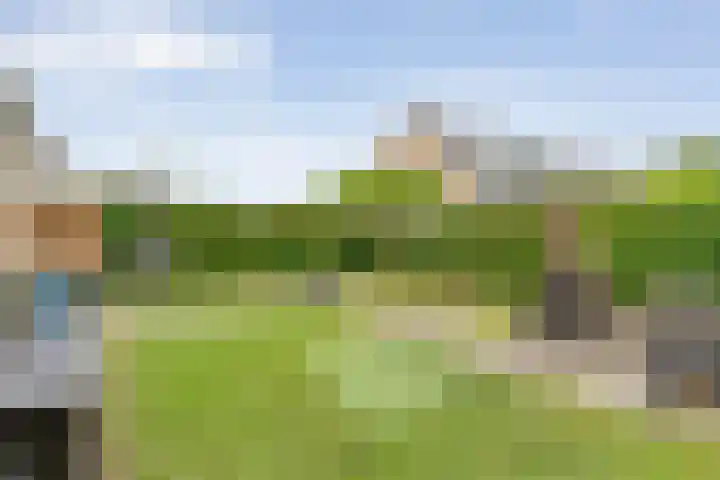 Van der Grondenmarke 35 Zwolle thumbnail 47