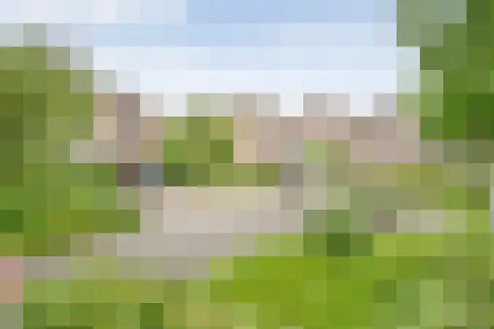 Van der Grondenmarke 35 Zwolle thumbnail 48
