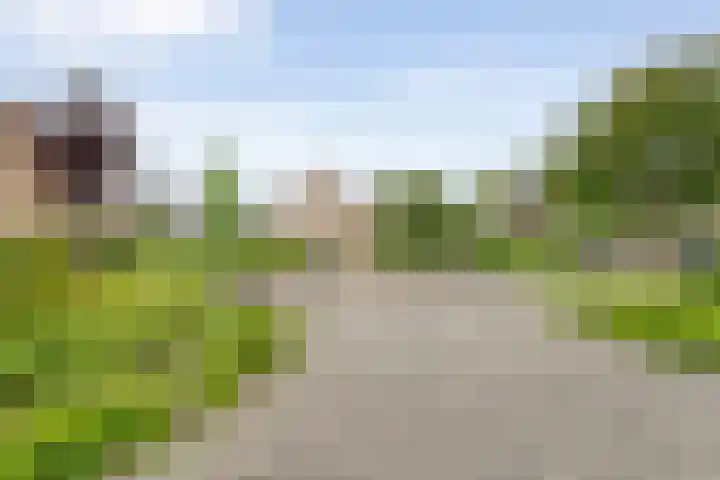 Van der Grondenmarke 35 Zwolle thumbnail 49