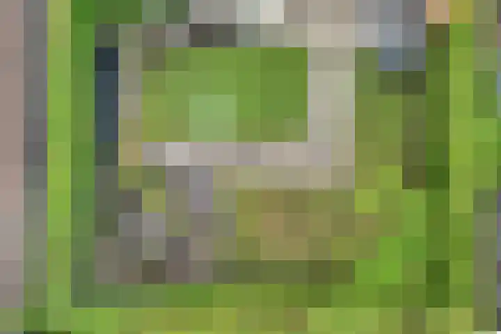 Van der Grondenmarke 35 Zwolle thumbnail 5