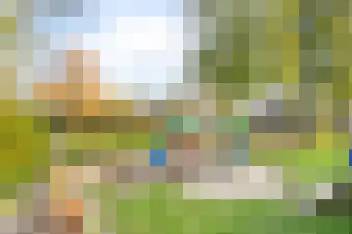 Van der Grondenmarke 48 Zwolle thumbnail 26