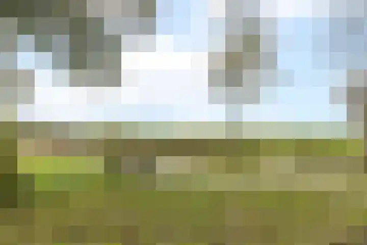Van der Grondenmarke 48 Zwolle thumbnail 27