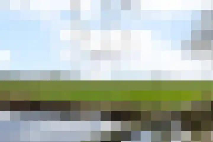 Van der Grondenmarke 48 Zwolle thumbnail 28