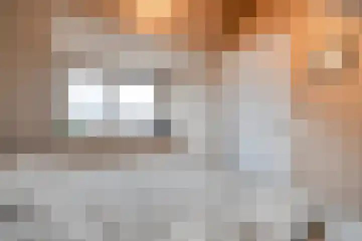 Van der Grondenmarke 56 Zwolle thumbnail 31