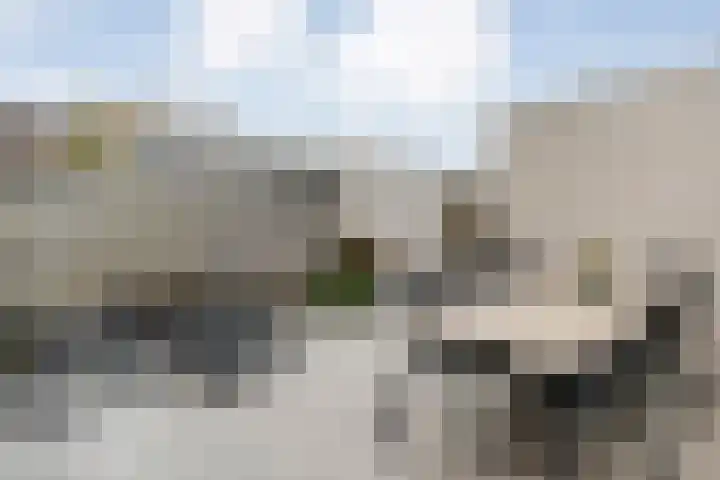 Van der Grondenmarke 56 Zwolle thumbnail 35