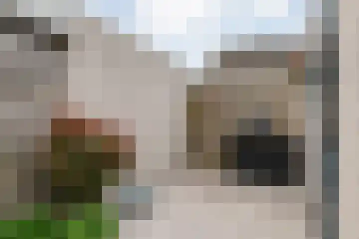 Van der Grondenmarke 56 Zwolle thumbnail 40