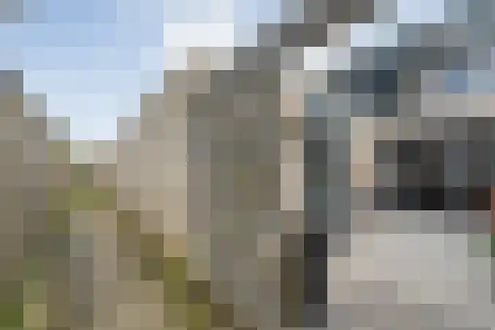 Van der Grondenmarke 56 Zwolle thumbnail 42