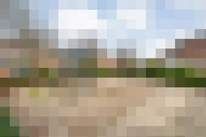 Van der Grondenmarke 56 Zwolle thumbnail 44