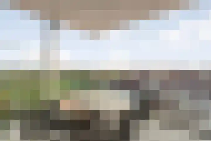 Van der Grondenstraat 5 Dedemsvaart thumbnail 19