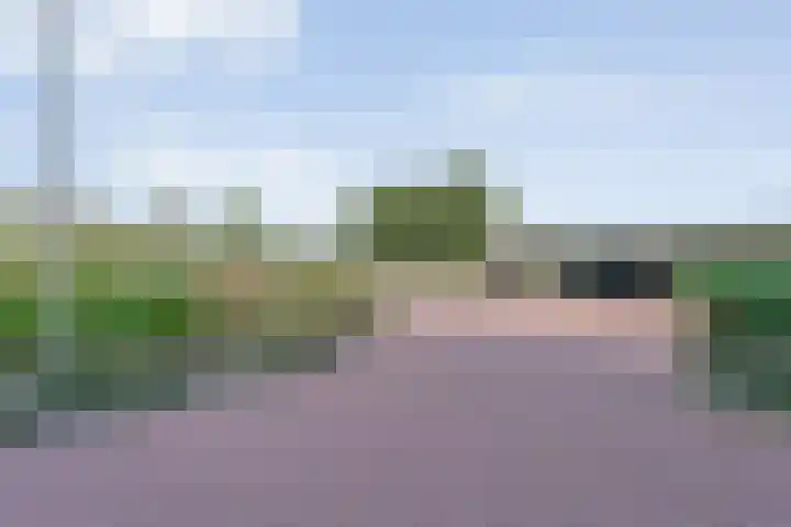 Van der Grondenstraat 6 Dedemsvaart thumbnail 38