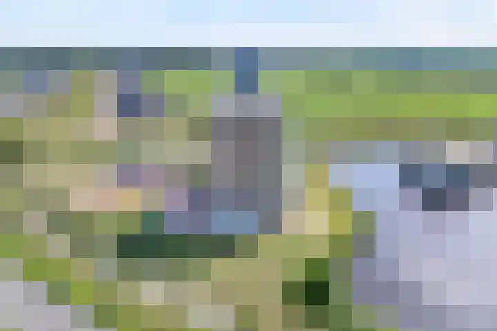 Van der Grondenstraat 6 Dedemsvaart thumbnail 5