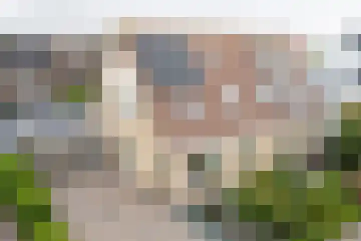 Van der Haerstrjitte 13 Ternaard