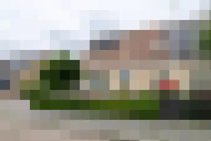 Van der Haerstrjitte 13 Ternaard thumbnail 10