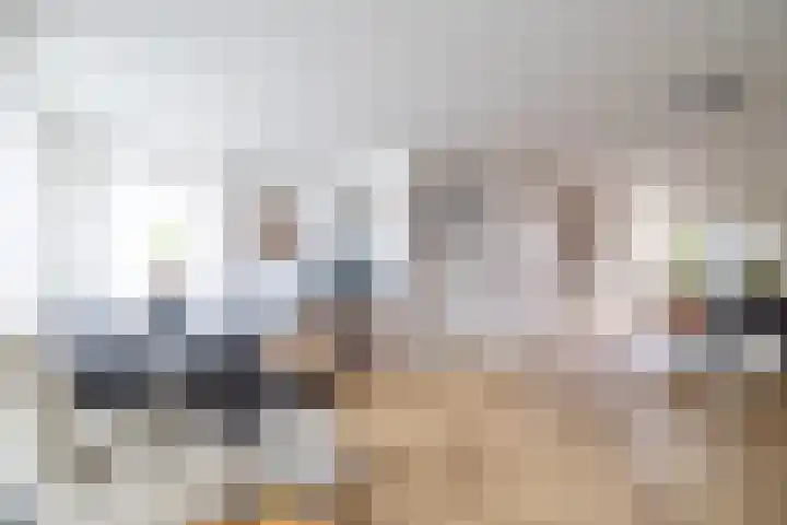 Van der Haerstrjitte 13 Ternaard thumbnail 16