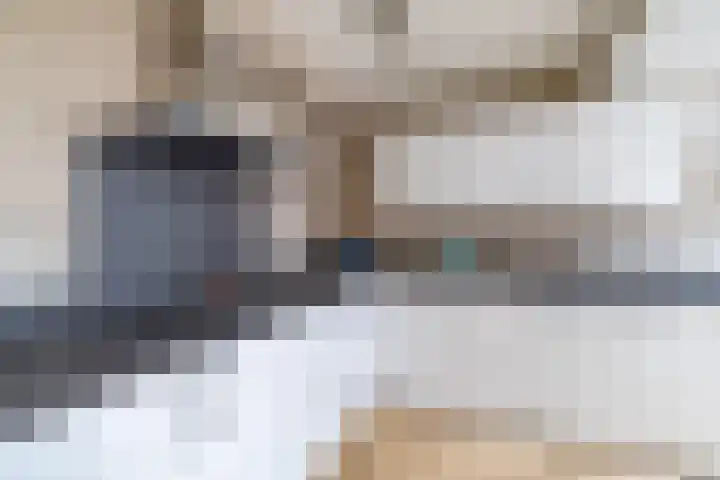 Van der Haerstrjitte 13 Ternaard thumbnail 25