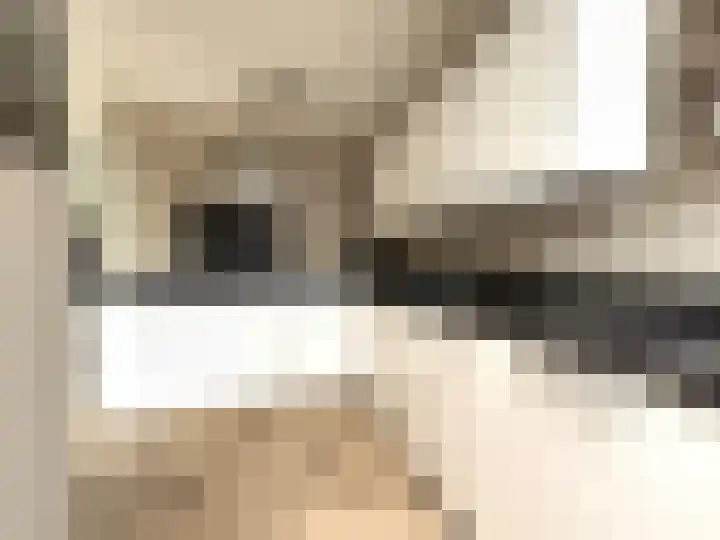 Van der Haerstrjitte 13 Ternaard thumbnail 26
