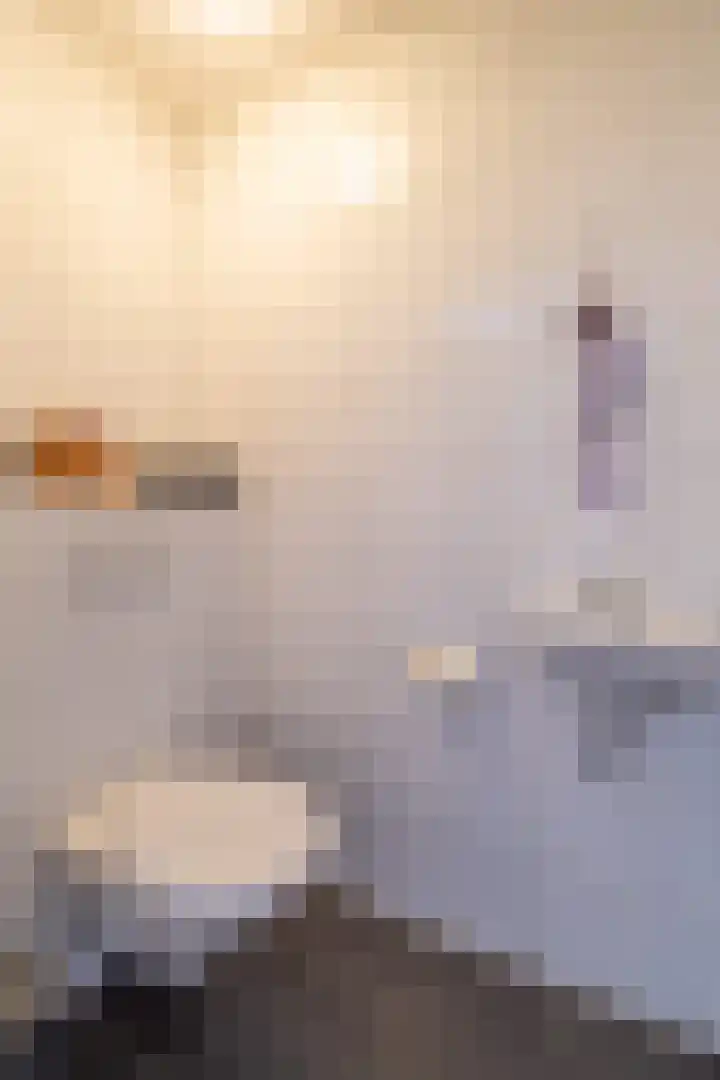Van der Haerstrjitte 13 Ternaard thumbnail 29
