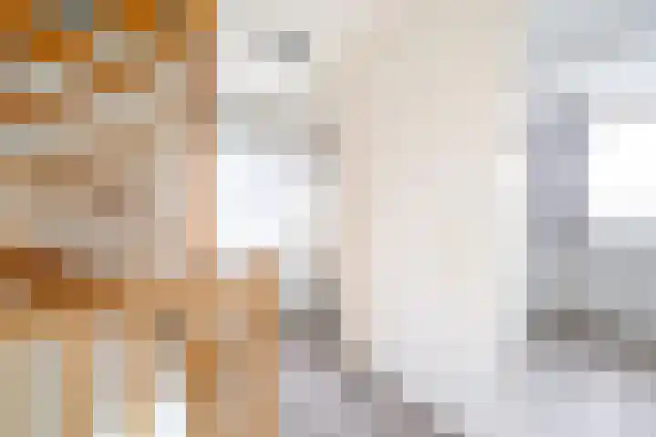 Van der Haerstrjitte 13 Ternaard thumbnail 30