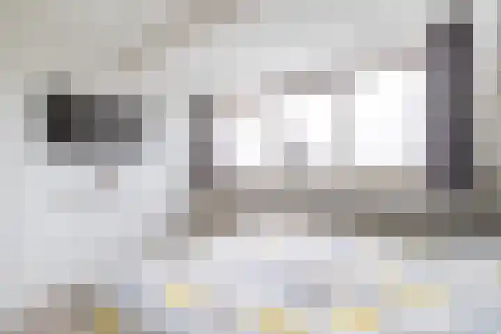 Van der Haerstrjitte 13 Ternaard thumbnail 33
