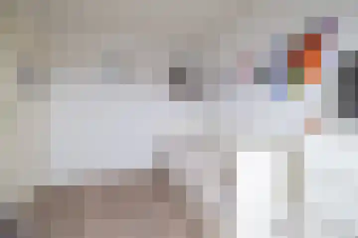 Van der Haerstrjitte 13 Ternaard thumbnail 36