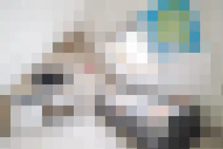 Van der Haerstrjitte 13 Ternaard thumbnail 43