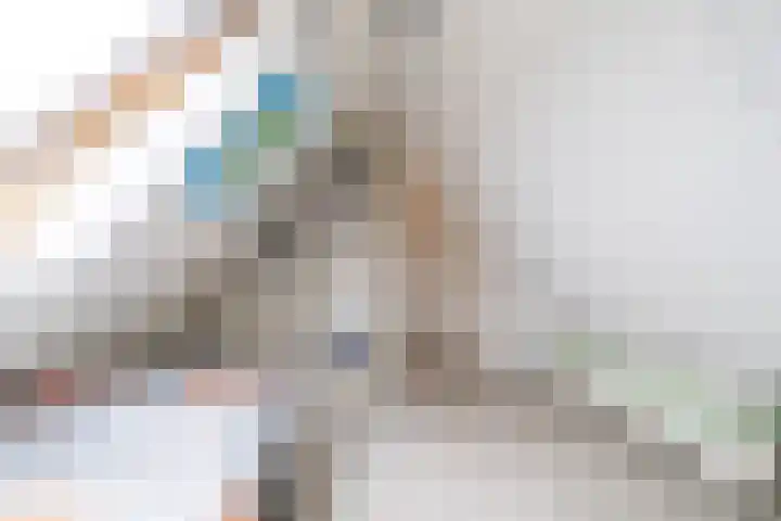 Van der Haerstrjitte 13 Ternaard thumbnail 44