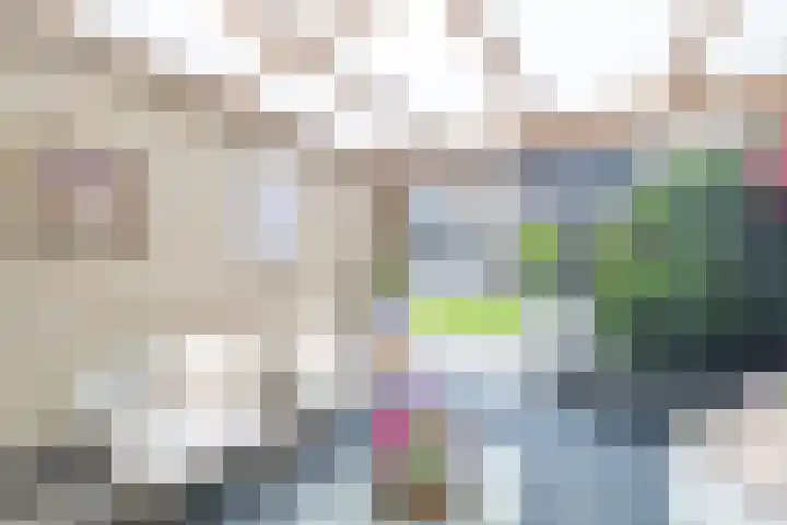 Van der Haerstrjitte 13 Ternaard thumbnail 48