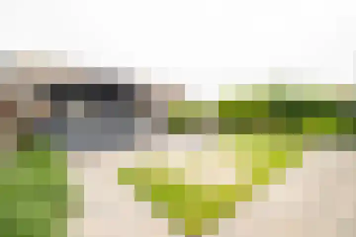 Van der Haerstrjitte 13 Ternaard thumbnail 54