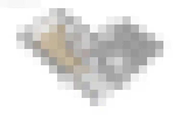 Van der Haerstrjitte 13 Ternaard thumbnail 60