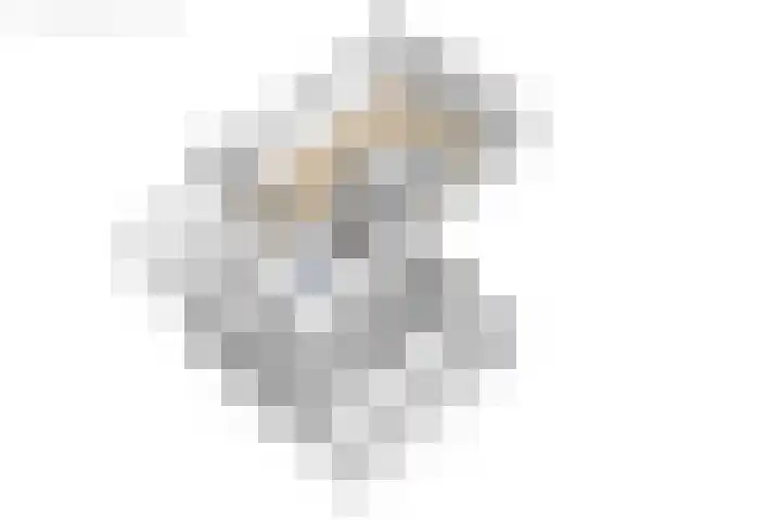 Van der Haerstrjitte 13 Ternaard thumbnail 61