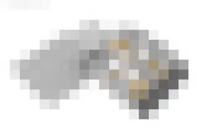 Van der Haerstrjitte 13 Ternaard thumbnail 65