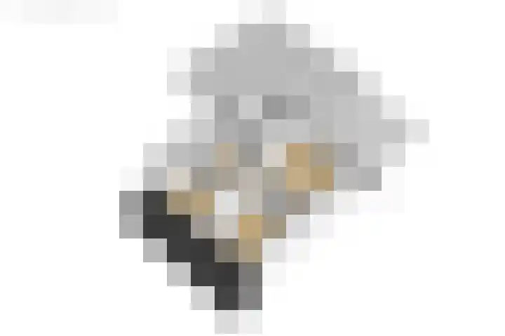 Van der Haerstrjitte 13 Ternaard thumbnail 66