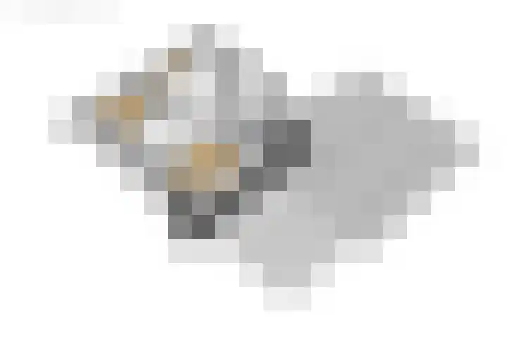 Van der Haerstrjitte 13 Ternaard thumbnail 67