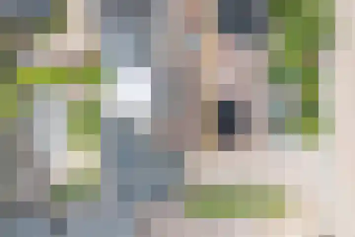 Van der Haerstrjitte 13 Ternaard thumbnail 8