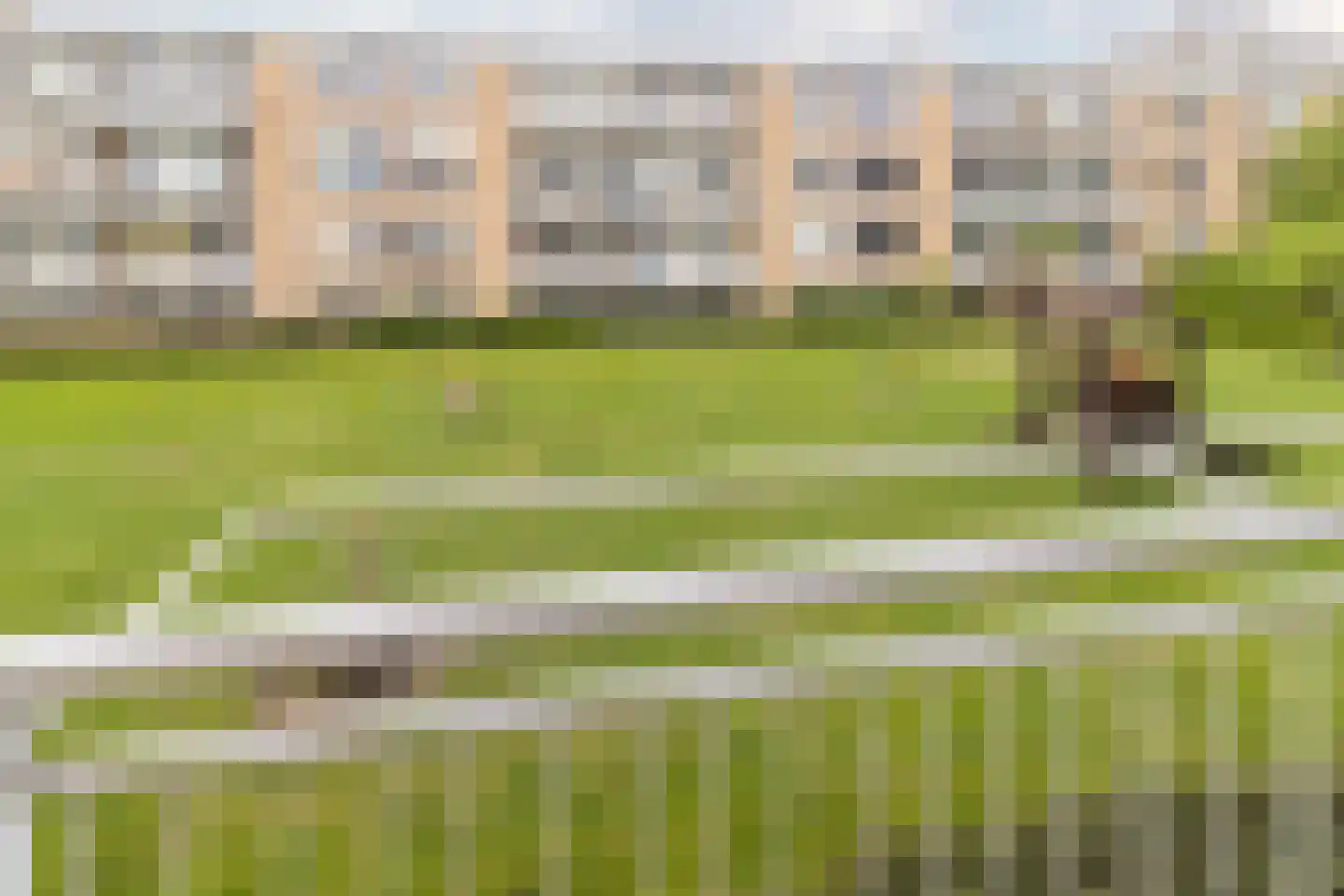 Van der Haertstraat 13 Delft thumbnail 21