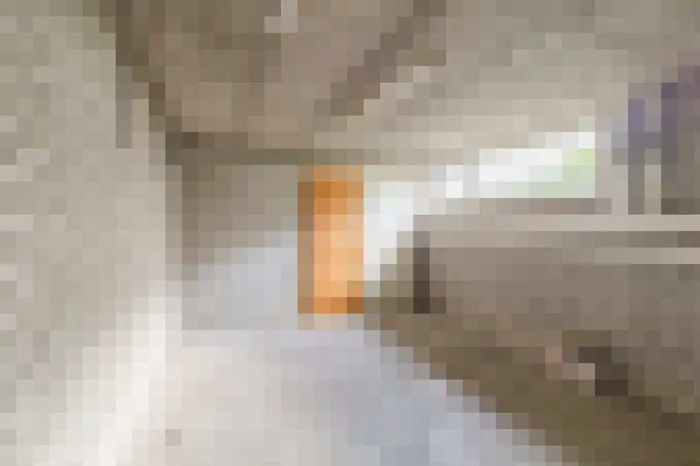 Van der Haertstraat 13 Delft thumbnail 23