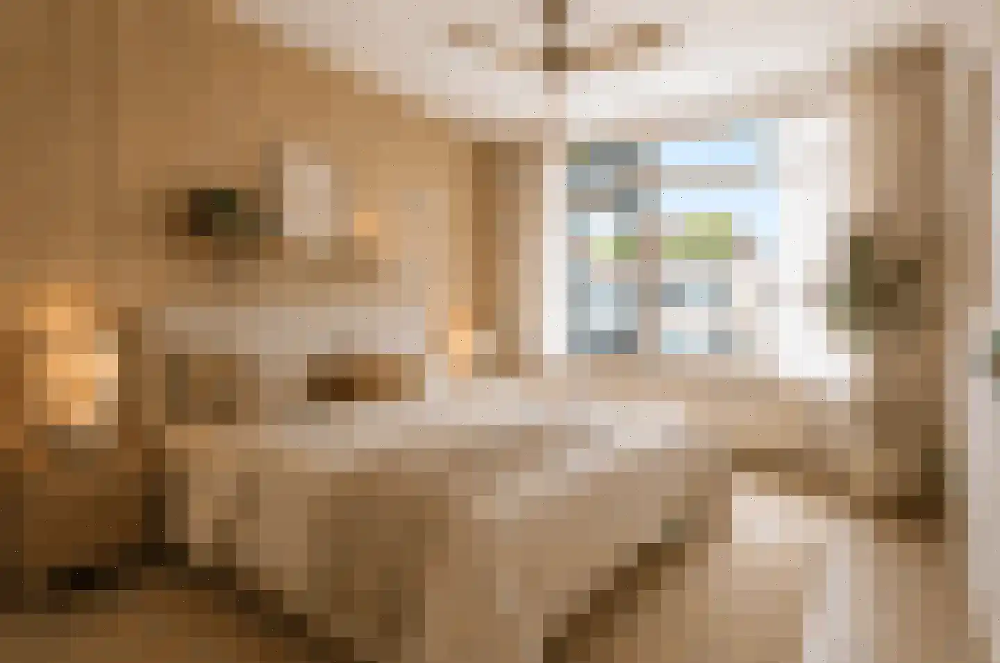 Van der Haertstraat 33 Delft thumbnail 10