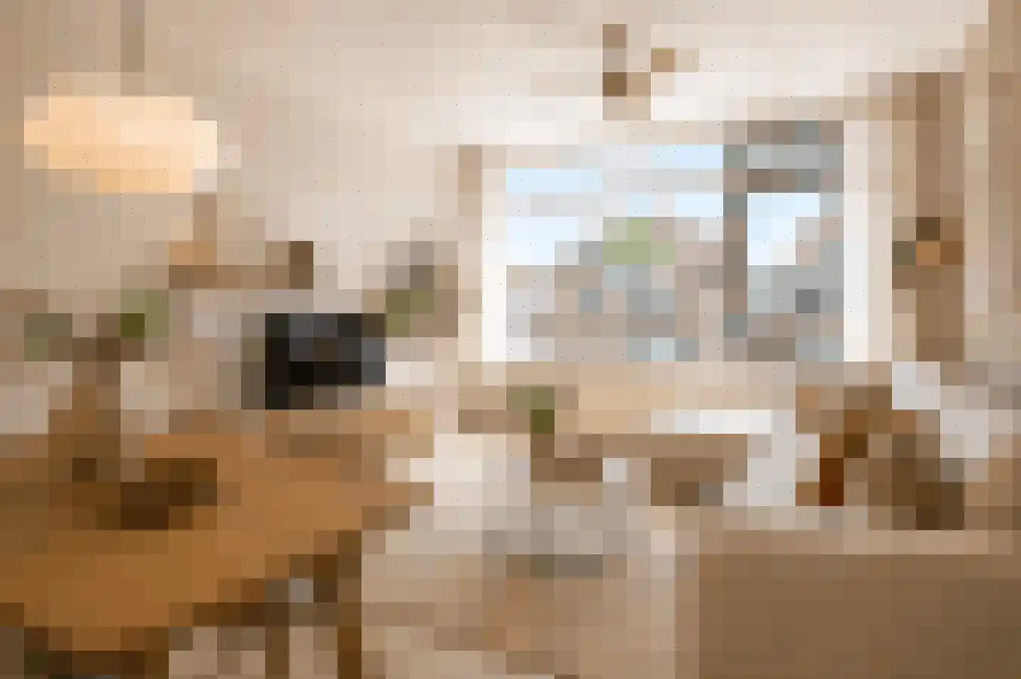 Van der Haertstraat 33 Delft thumbnail 7
