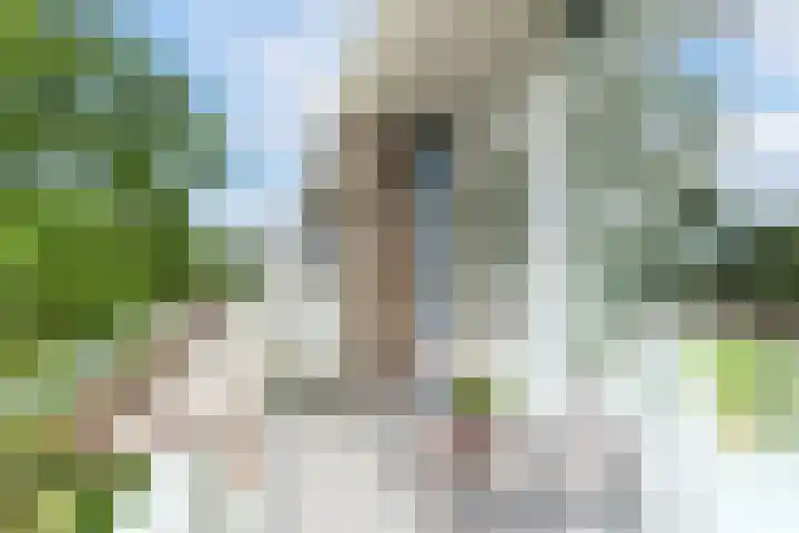 Van der Haertstraat 36 Delft thumbnail 4