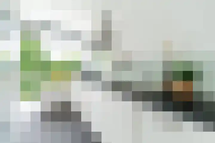 Van der Haertstraat 36 Delft thumbnail 8