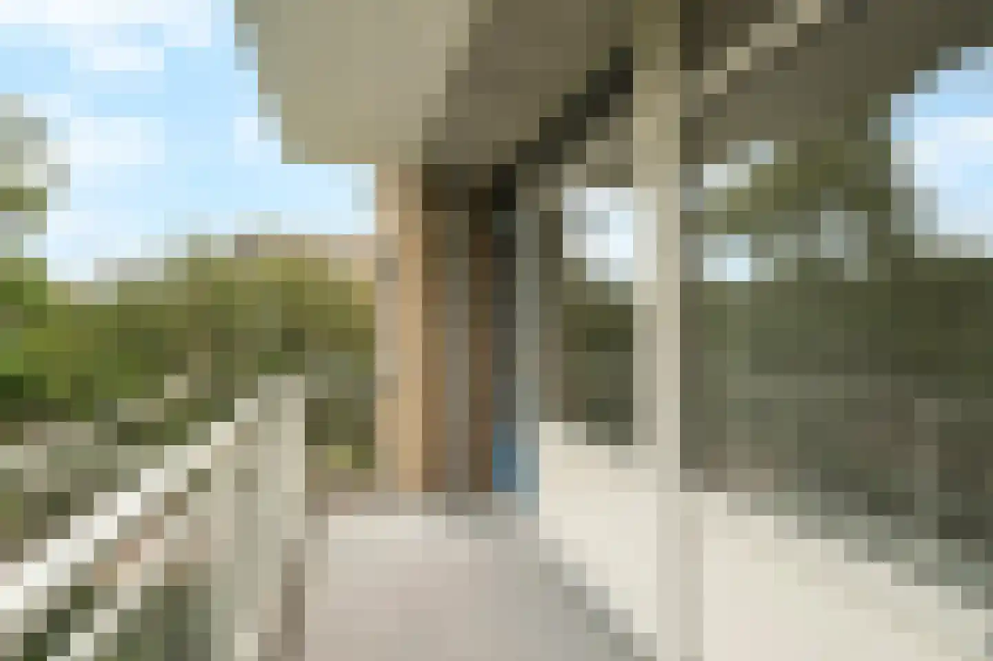 Van der Haertstraat 6 Delft thumbnail 9