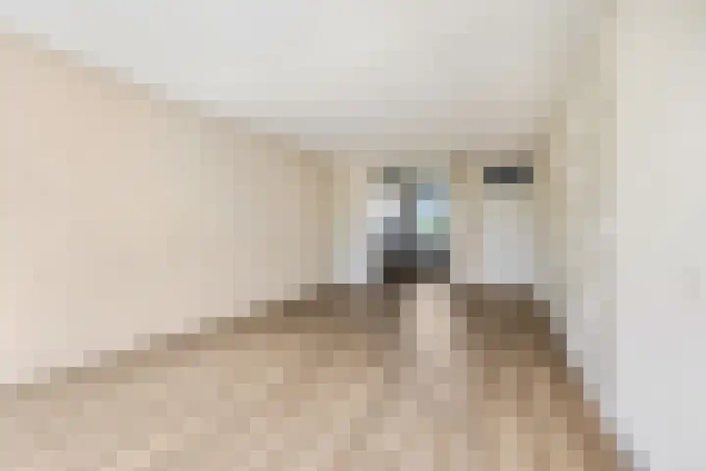 Van der Hagenstraat 547 Ede thumbnail 5