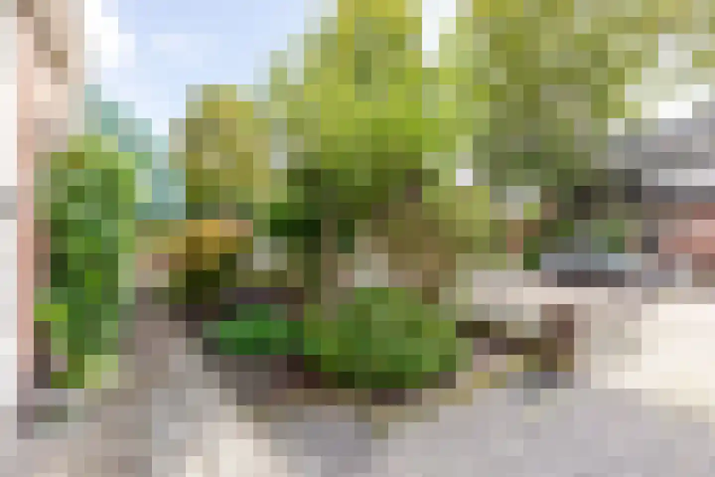 Van der Heijdenlaan 101 Zeist thumbnail 28