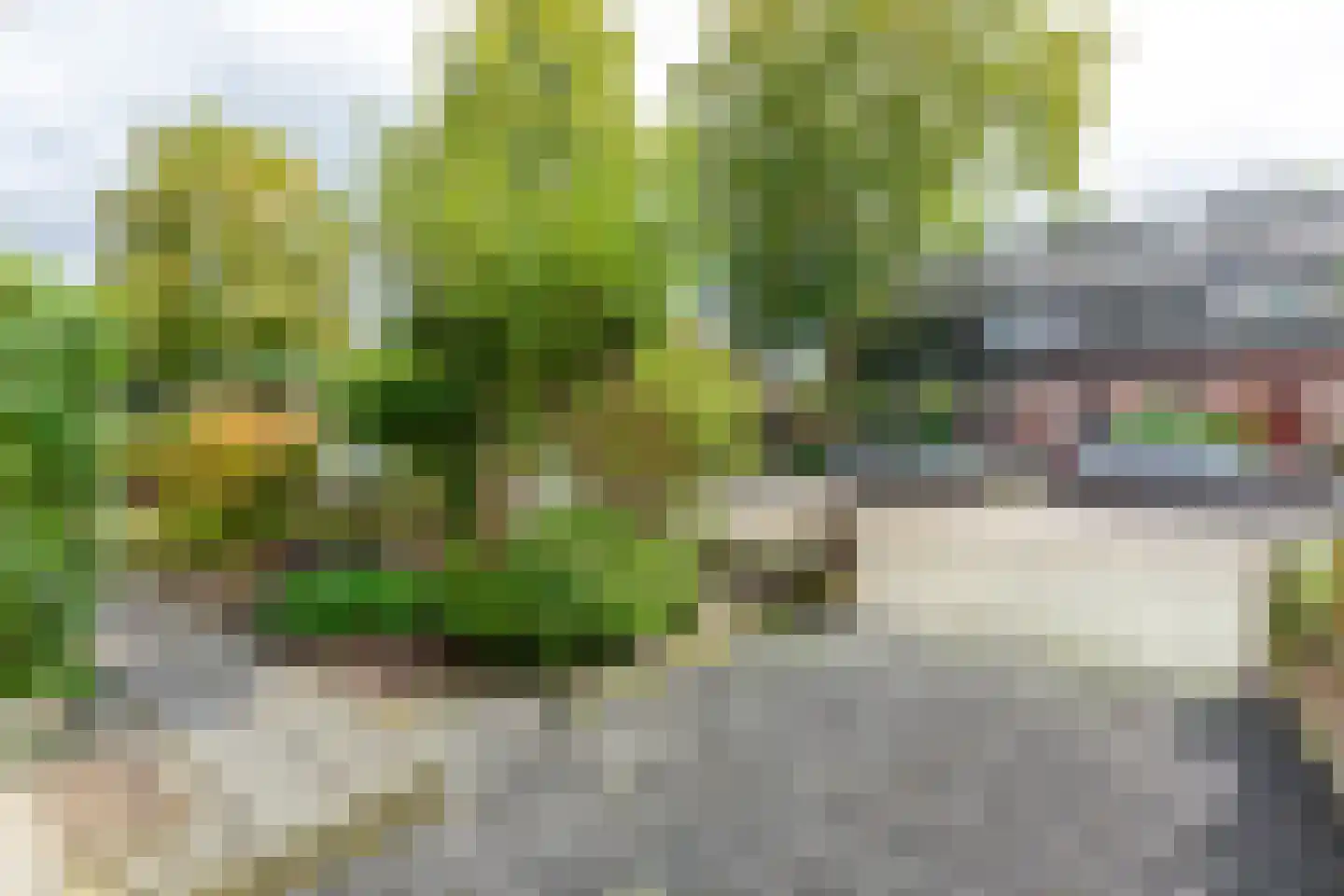 Van der Heijdenlaan 101 Zeist thumbnail 30